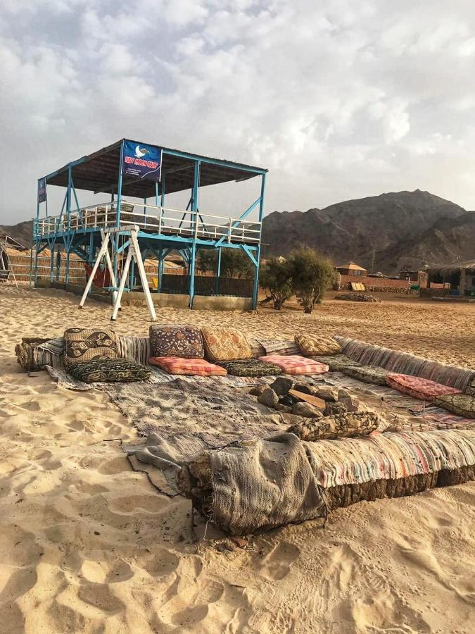 Half Moon Camp Ξενοδοχείο Τάμπα Εξωτερικό φωτογραφία