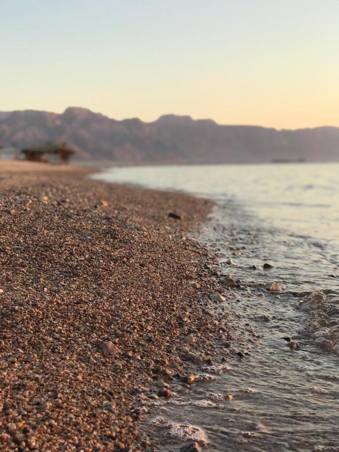 Half Moon Camp Ξενοδοχείο Τάμπα Εξωτερικό φωτογραφία