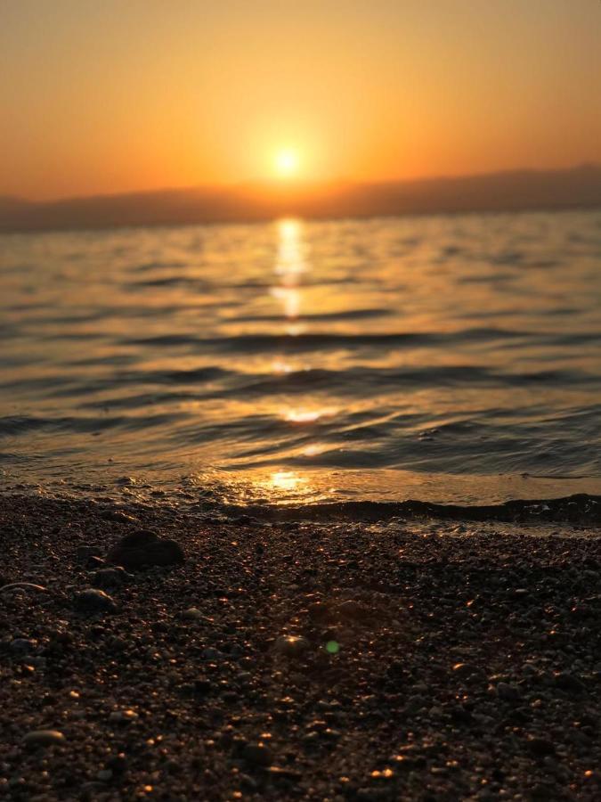 Half Moon Camp Ξενοδοχείο Τάμπα Εξωτερικό φωτογραφία