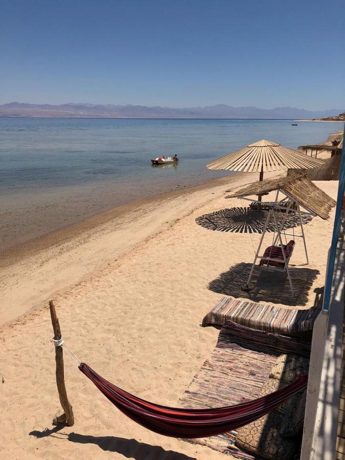 Half Moon Camp Ξενοδοχείο Τάμπα Εξωτερικό φωτογραφία