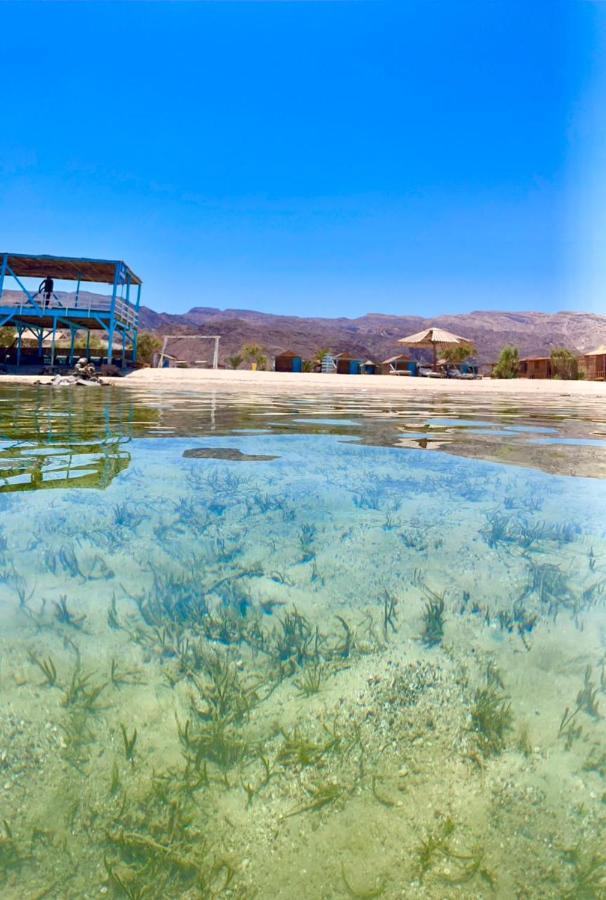 Half Moon Camp Ξενοδοχείο Τάμπα Εξωτερικό φωτογραφία