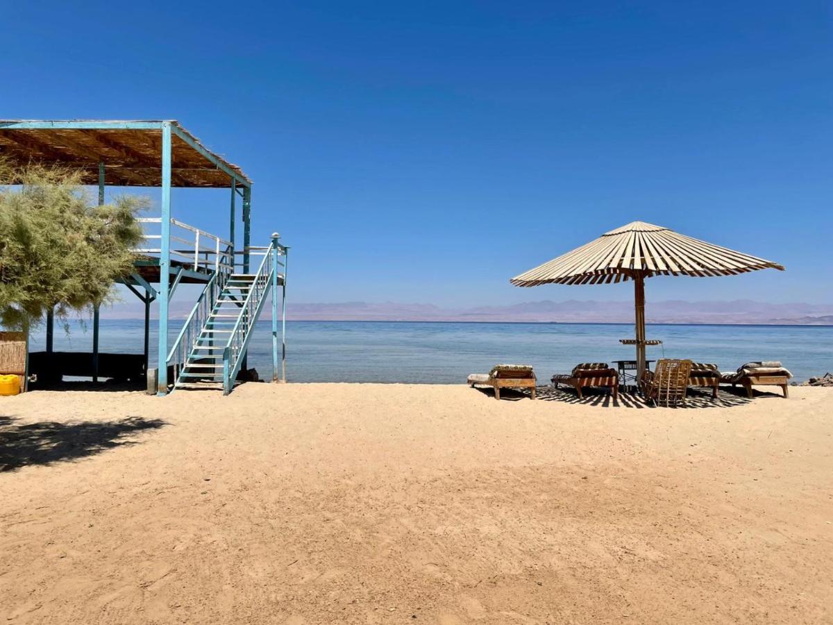 Half Moon Camp Ξενοδοχείο Τάμπα Εξωτερικό φωτογραφία