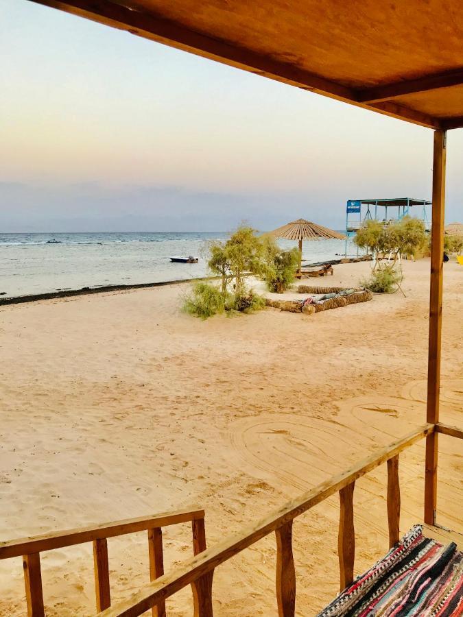 Half Moon Camp Ξενοδοχείο Τάμπα Εξωτερικό φωτογραφία