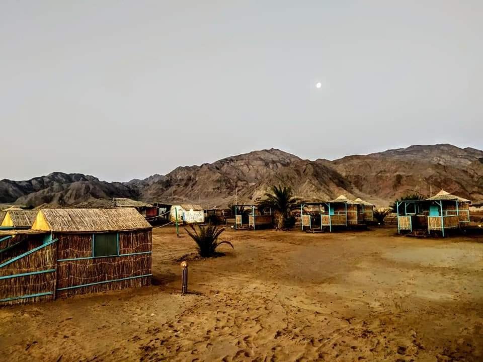 Half Moon Camp Ξενοδοχείο Τάμπα Εξωτερικό φωτογραφία
