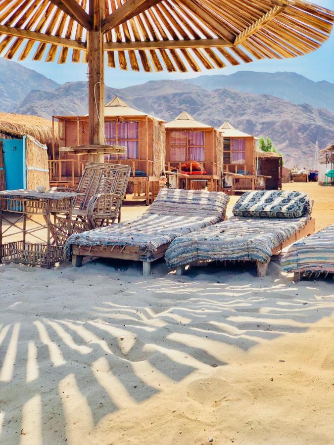 Half Moon Camp Ξενοδοχείο Τάμπα Εξωτερικό φωτογραφία