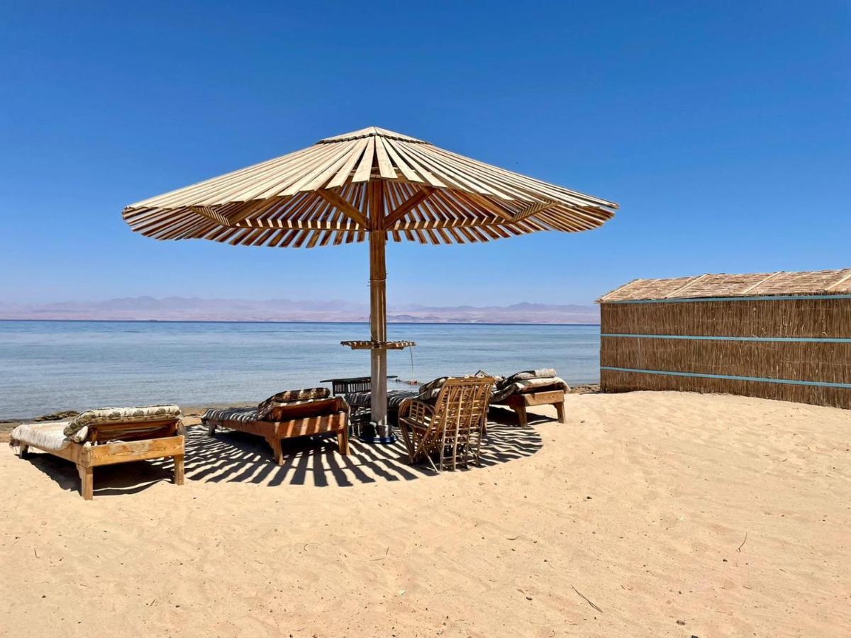 Half Moon Camp Ξενοδοχείο Τάμπα Εξωτερικό φωτογραφία